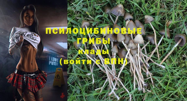 прущие грибы Алексин